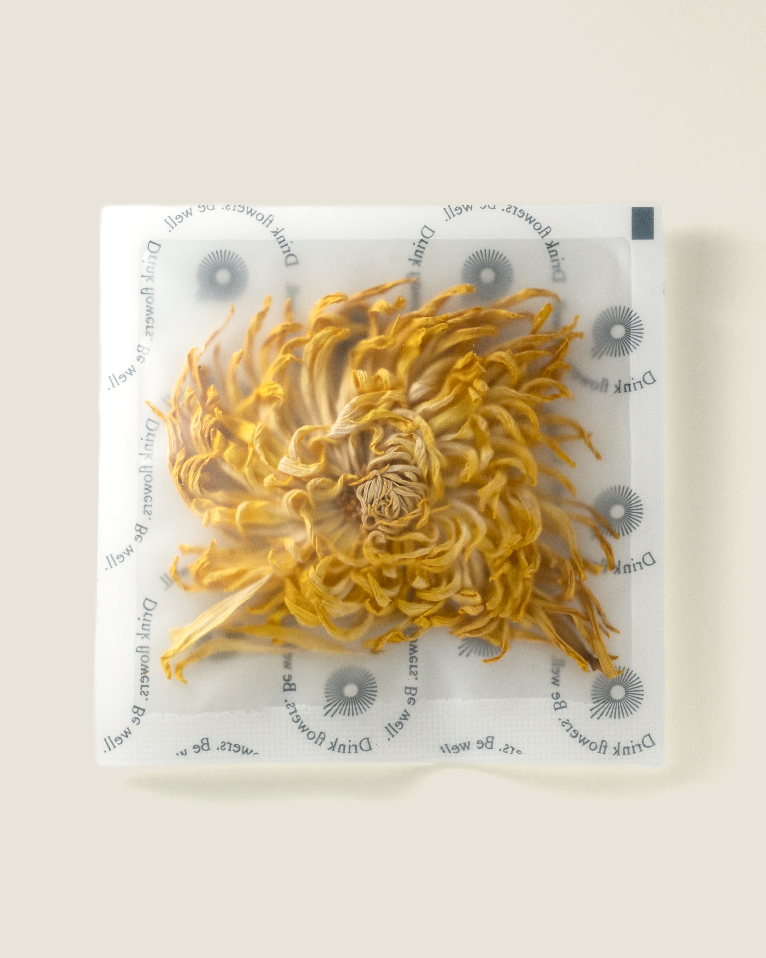 Royal Chrysanthemum
