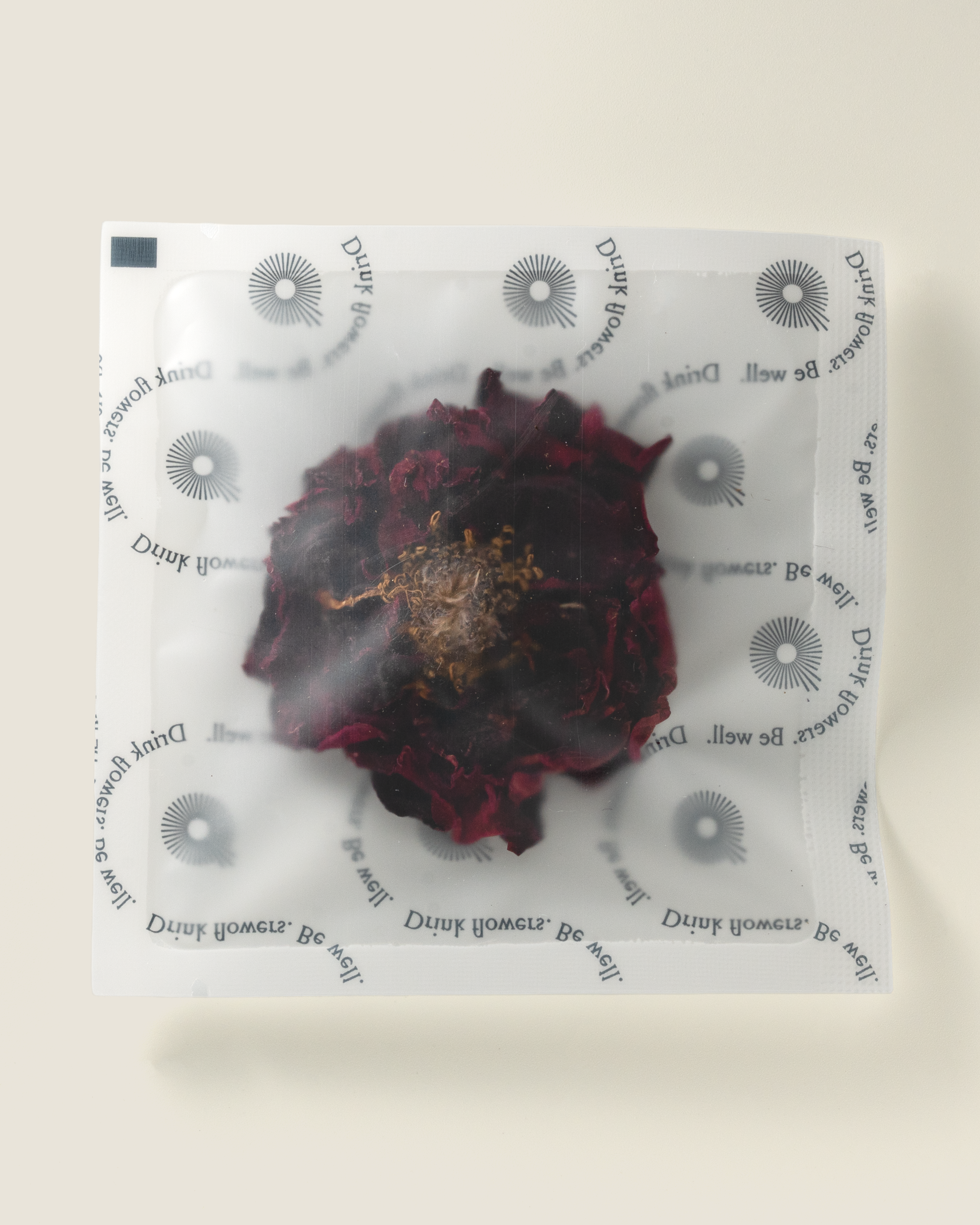 Shangri-la Rose