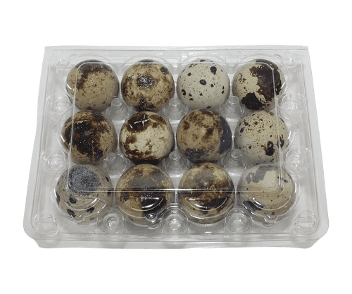 12-cell Jumbo Quail Egg Cartons (3x4)