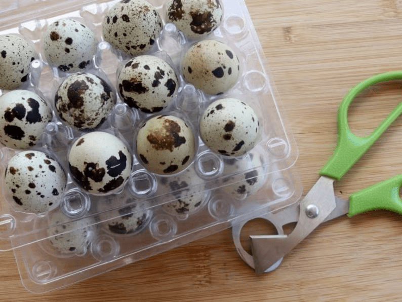 8 Dozen Farm Fresh n Tasty Organic Jumbo Quail Eggs