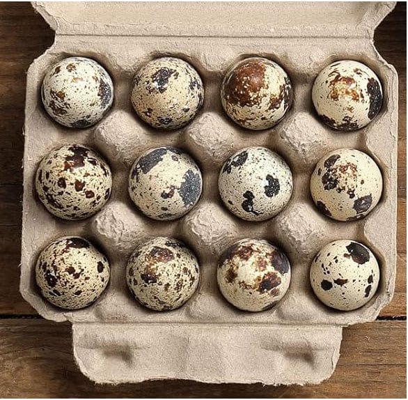 10 Dozen Farm Fresh n Tasty Organic Jumbo Quail Eggs